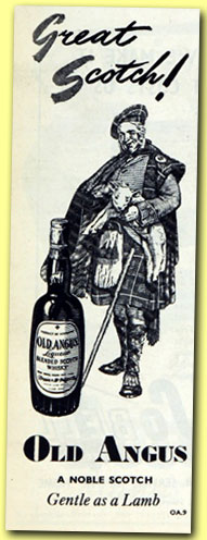 Old Angus
