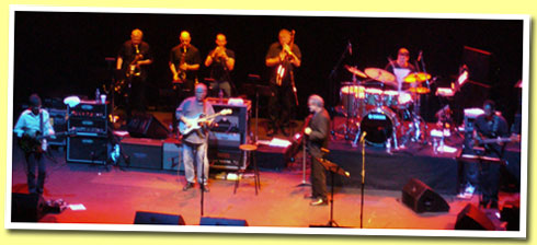 Steely Dan