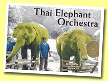 Elephants