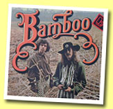 Bamboo