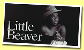 Little Beaver