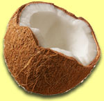 Coconut