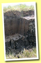 Peat