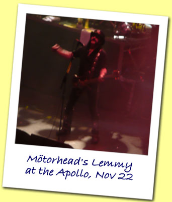 Lemmy