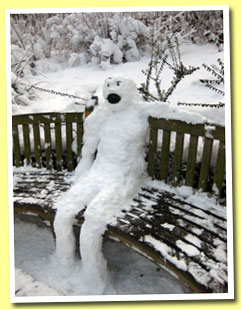 Snow
