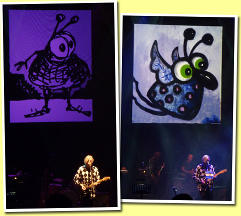 Robyn Hitchcock