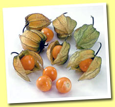 Cape Gooseberries
