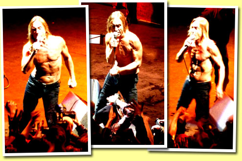 Iggy