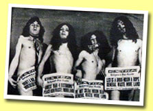 Pink Fairies