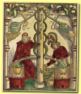 Brunschwig