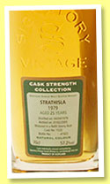 Strathisla 27 yo 1979/2007 (55.7%, Signatory Vintage, refill sherry butt, cask #1534, 605 bottles) 