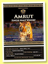 Amrut 5 yo (56.5%, OB, exclusive for Taiwan, oloroso, cask #3823, 600 bottles) 