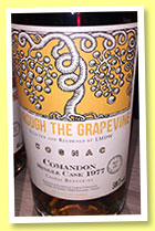 Comandon 1977/2016 (59.7%, Through The Grapevine, LMDW)