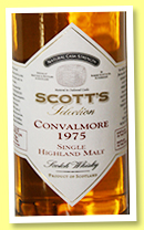 Convalmore 1975/2004 (49.3%, Scott's Selection) 