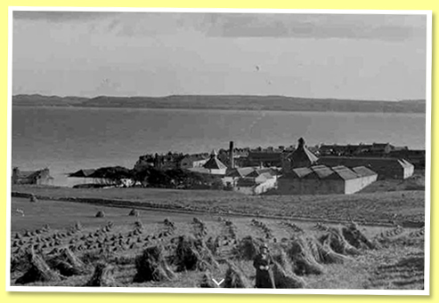 Bruichladdich