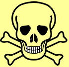 Skull Skull