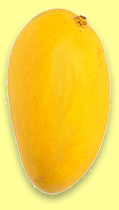 Mango Spirit 4 yo 2016/2020 (49.3%, The Whisky Agency)