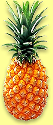 Pineapple Spirit 4 yo 2016/2020 (51.7%, The Whisky Agency) 