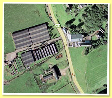 Glengoyne Glengoyne