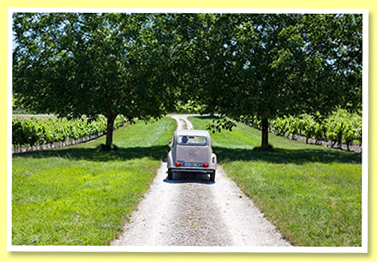 2cv