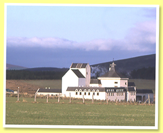 Braes
