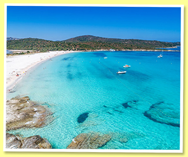 Corse Corse
