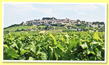 Sancerre Sancerre
