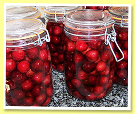 Cherries Cherries