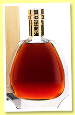 De Luze 'Infini' (40%, OB, cognac, Grande Champagne, +/-2022) De Luze 'Infini' (40%, OB, cognac, Grande Champagne, +/-2022)