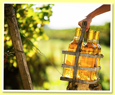 Sauternes Sauternes