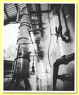 Engenho Novo Distillery