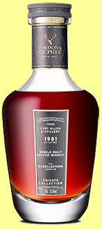 Port Ellen 42 yo 1981/2023 (52.5%, Gordon & MacPhail, The Recollection series #2, refill sherry butt, cask #290, 181 bottles) Port Ellen 42 yo 1981/2023 (52.5%, Gordon & MacPhail, The Recollection series #2, refill sherry butt, cask #290, 181 bottles)