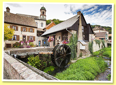 Welche Welche