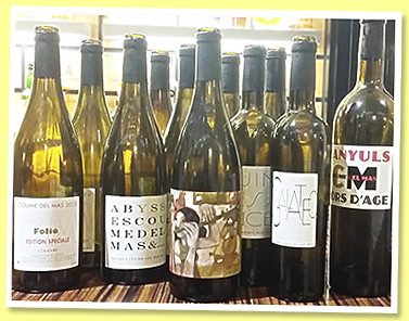 Wines Wine