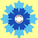 Bleuet