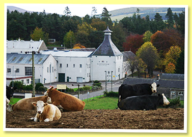 Glenlossie