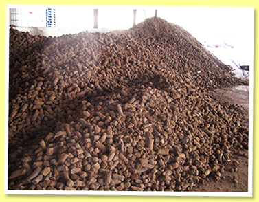 Peat 