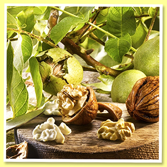 Walnuts