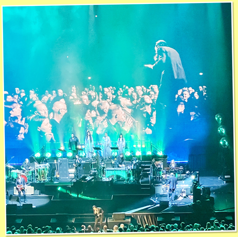 Nick Cave
