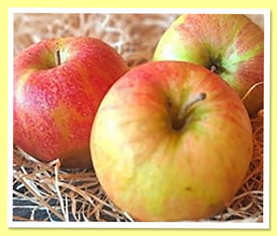 Palle Apple