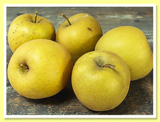 Apple Apple