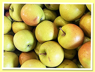 Apple Apple