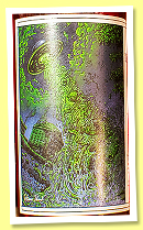 Deanston 11 yo 2014/2025 (49.7%, Lady of the Glen, Samhain Series, 1st fill PX quarter cask, cask #300223, 158 bottles) Deanston 11 yo 2014/2025 (49.7%, Lady of the Glen, Samhain Series, 1st fill PX quarter cask, cask #300223, 158 bottles)