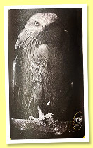 Glen Garioch 7 yo 2015/2023 (53.8%, Acla Selection, 10th Anniversary, cask #5124, 239 bottles)