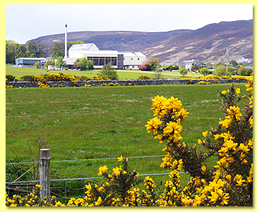 Clynelish