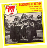 The Count Five