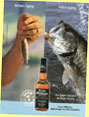 Ewan Williams ad