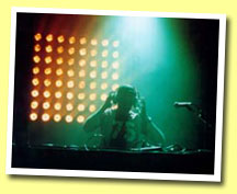DJZebra