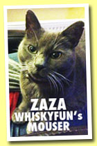 Zaza